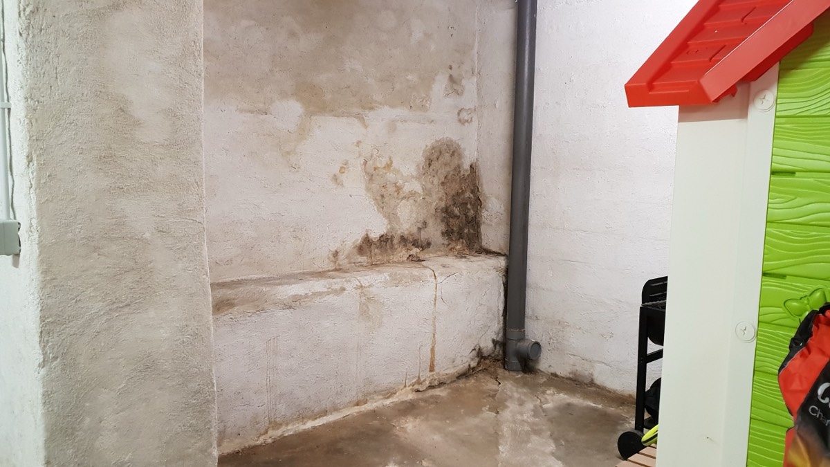 Infiltrations d'eau - Expertise humidité à La Rochelle